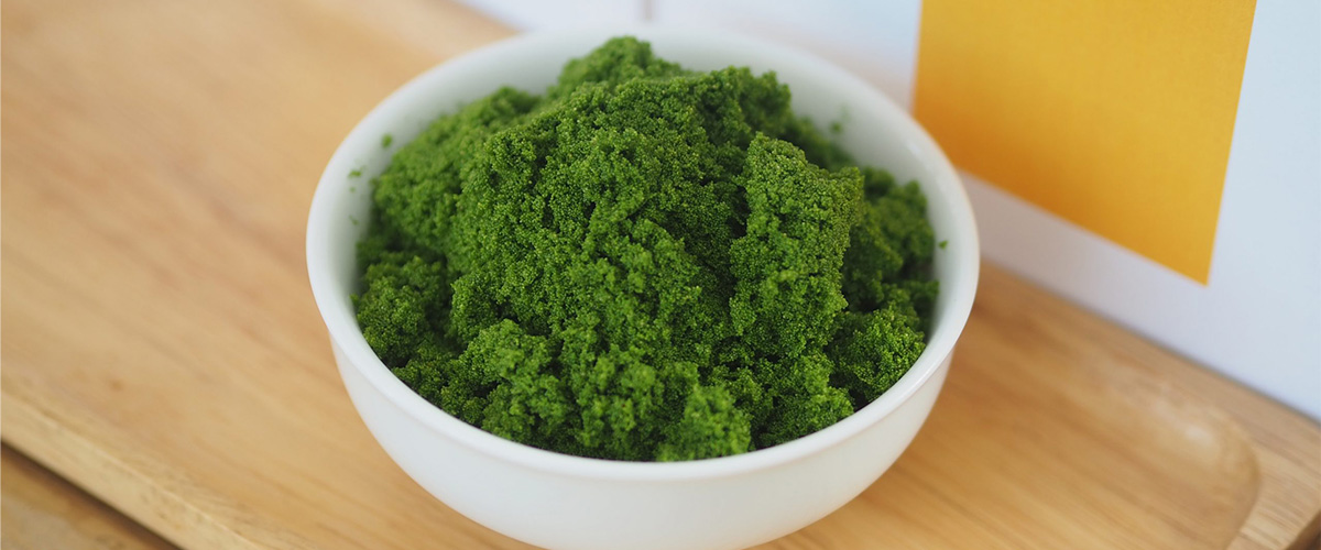 ผำ พืชจิ๋วพื้นบ้าน หรือฉายา กรีนคาเวียร์ (Green Caviar)